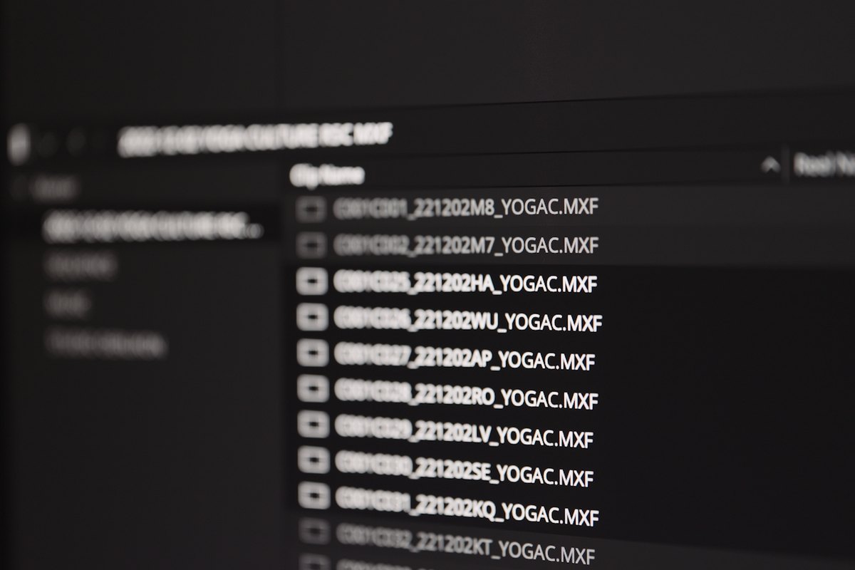 Dateiliste im Media Pool von DaVinci Resolve mit importierten Clips