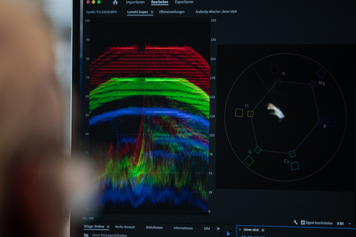 Lumetri-Scopes in Adobe Premiere mit RGB-Parade und Vektorskop