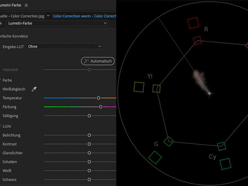 Farbkorrektur mit Hauttönen mit Lumetri-Farbe und Vectorscope