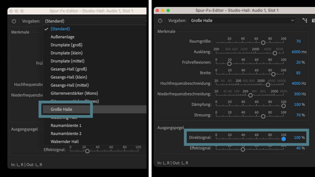 Spureffekt in Premiere Pro personalisieren