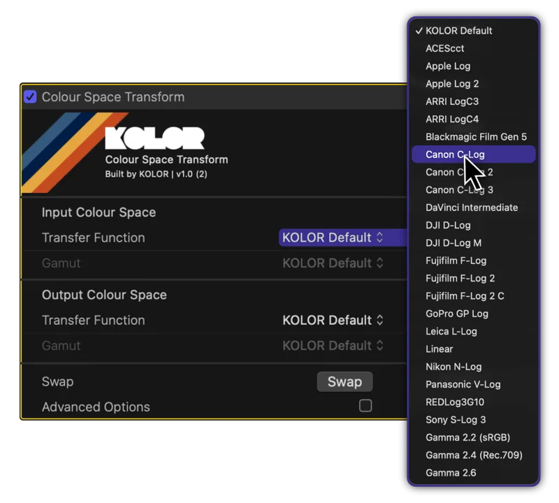 Screenshot des KOLOR Colour Space Transform Plugins für Color Grading in Final Cut Pro: Dialogfenster mit Input/Output Colour Space Einstellungen, Transfer Function Dropdown zeigt Canon C-Log, Apple Log und weitere Log-Profile für Farbraumtransformation.