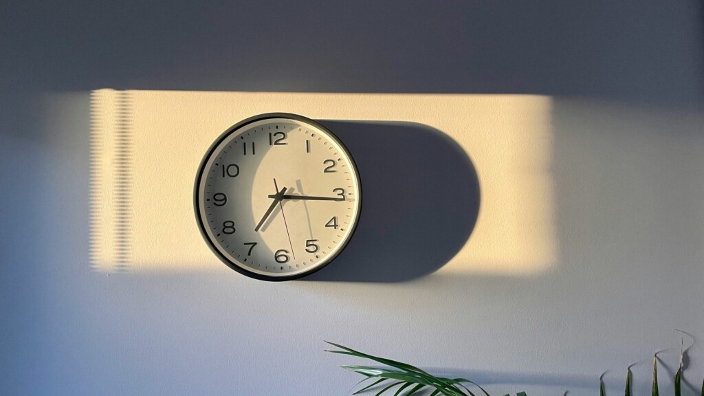 Analoge Wanduhr an einer hellen Wand, daneben ein länglicher Schatten; unten rechts ragen Palmblätter ins Bild.